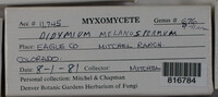 Image Associated With the Occurence